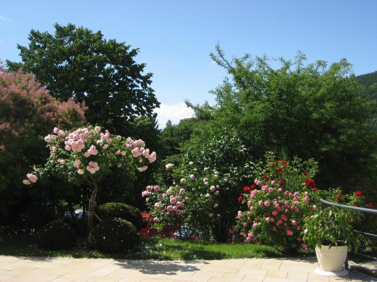 Hotel Anna Μπάντενβαϊλερ Εξωτερικό φωτογραφία